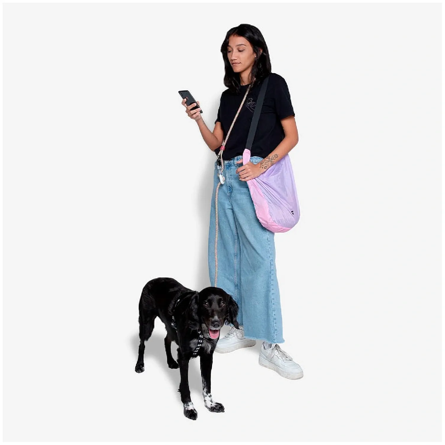 Guia para Caes Maos Livres Gravity Zeedog 3